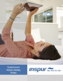 INSPUR Vision brochure cover