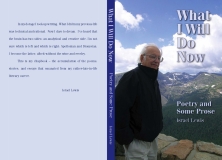 What I Will Do Now - book cover design