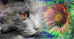 Cat & Flower - Photoshop montage & Corel Painter