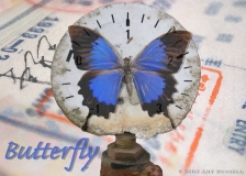 Butterfly - Photoshop montage