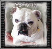 Button - Photoshop montage & Corel Painter